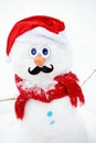 Close-up view of handmade snowman with a scarf, Santa Claus hat, carrot nose and mustache in a snowy park Royalty Free Stock Photo