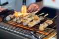 A Man Is Cooking Fresh Tuna Sticks On A Grill Royalty Free Stock Photo