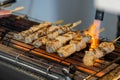 A Man Is Cooking Fresh Tuna Sticks On A Grill Royalty Free Stock Photo