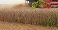 A close-up view of a harvester cutting wheat in a field. Royalty Free Stock Photo