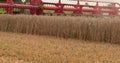 A close-up view of a harvester cutting wheat in a field. Royalty Free Stock Photo