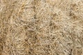 Close-up view of hay bales are stacked in large stacks. Natural background. Royalty Free Stock Photo