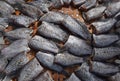 Close up View of Headless dried fish called Pla Salit on round bamboo basket