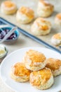 Close Up View of Homemade Scones on the Plate Royalty Free Stock Photo