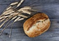 Close up view of homemade sourdough bread with dried wheat stalks on age wood Royalty Free Stock Photo