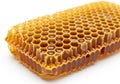 A close-up view of a honeycomb structure with golden honey inside each cell Royalty Free Stock Photo