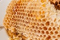 Close up view of the honeycomb with sweet honey.