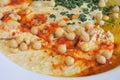 Close up view of Hummus served in a plate