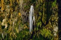 Close up view of an icicle under a rock with moss and lichen in the shade