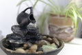 Zen water fountain next to a plant Royalty Free Stock Photo