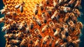 close-up view of industrious bees at work on honey cells Royalty Free Stock Photo