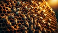 close-up view of industrious bees at work on honey cells Royalty Free Stock Photo