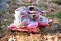 Close up view of inline skate or rollerblade Royalty Free Stock Photo