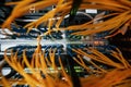 Close up view of internet equipment and cables in the server room Royalty Free Stock Photo