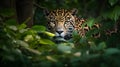 close-up view of a jaguar in a green jungle, looking forward and spotted