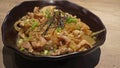 Close-up view of the Japanese cuisine Donburi chicken rice with egg ,seaweed and onion