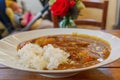 Japanese homemade style beef curry with rice. Royalty Free Stock Photo