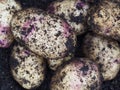 Close up view of kestrel potatoes freshly harvested