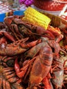 Close up view of a large amount of boiled crawfish being served during summer Royalty Free Stock Photo