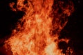 Close-up view of a large fire with intense flames against a dark background. Royalty Free Stock Photo