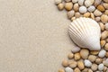White Seashell on Beige Sand with Smaller Shells Royalty Free Stock Photo