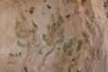 Cose up of the leaves on the baptistery cross painting after at Beit She`an in Israel