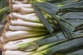Close up view of leek on shelf of supermarket isolated. Healthy food concept. Royalty Free Stock Photo