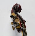 The close up view of left side of contrabass head.