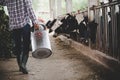 Close-up view on the legs of farmer working with fresh grass at the animal barn Royalty Free Stock Photo