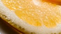 Close-up view of lemon slice covered with sugar. Citrus fruit. Cut piece of orange. Glossy lemon macro. Sweet juicy