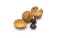 Close-up view of longan seeds and longan fruit on white background