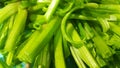 Close up view of lush green leaves base of spinach or paalak saag Royalty Free Stock Photo