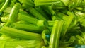 Close up view of lush green leaves base of spinach or paalak saag Royalty Free Stock Photo