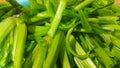 Close up view of lush green leaves base of spinach or paalak saag Royalty Free Stock Photo