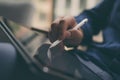 Close-up view of male hands holding stylus pen and working on a digital tablet. Blurred background. Horizontal.