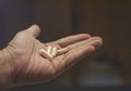 Close up view of male`s hand holding 3 yellow tablets on palm.