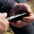 Close up view of man hands opens and cleans sea urchins, for take the eggs inside Royalty Free Stock Photo