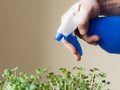 Close up view of a man hands, spraying water Royalty Free Stock Photo