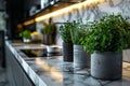 Close-up view of marble kitchen countertop. Pots with seedlings of fresh herbs, kitchen utensils, decor and kitchenware Royalty Free Stock Photo