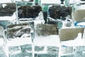 Close up view of melting transparent clear square ice cubes Royalty Free Stock Photo