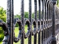 Close up view of metal fence, painted black iron forged lattice