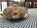 Close up of a mexican pan de muerto bread typical of the Day of the Dead celebration Royalty Free Stock Photo