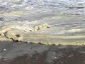 Milky sea foam waves