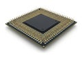 Close-up view of a modern central processing unit with exposed pins on the underside Royalty Free Stock Photo