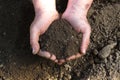 A close up view on moistured soil in mans hands Royalty Free Stock Photo