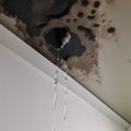 Close-up view of moldy corner of wall with water seeping through, showcasing presence of mold and moisture in building.