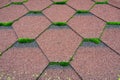 Close up view of moss infested asphalt shingles roof damage that needs repair and cleaner. Royalty Free Stock Photo