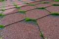 Close up view of moss infested asphalt shingles roof that needs repair and cleaner. Royalty Free Stock Photo