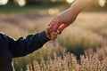 Close-up view of a mother holding her little son`s hand while walking in a lavender field. Royalty Free Stock Photo