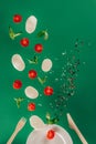 close up view of mozzarella cheese cherry tomatoes spinach and spices falling on plate Royalty Free Stock Photo